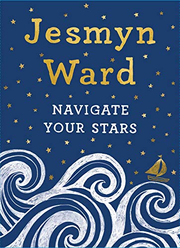 Navigate Your Stars book cover