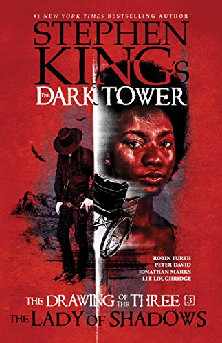 Lady of Shadows book cover