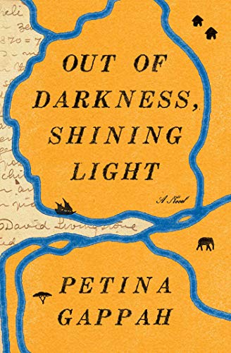 Out of Darkness, Shining Light book cover
