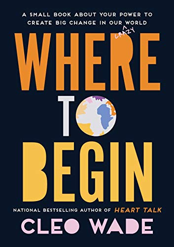 Where To Begin: A Small Book About Your Power to Create Big Change in Our Crazy World book cover