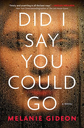 Did I Say You Could Go book cover