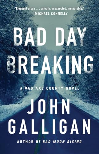 Bad Day Breaking book cover