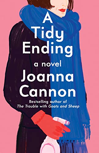 A Tidy Ending book cover