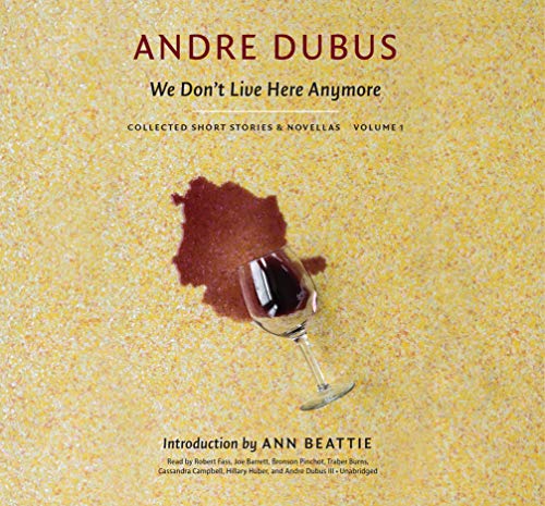 We Don't Live Here Anymore book cover