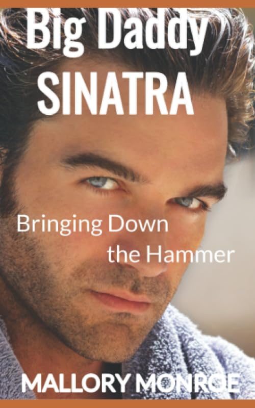 Bringing Down the Hammer book cover