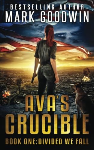 Divided We Fall book cover