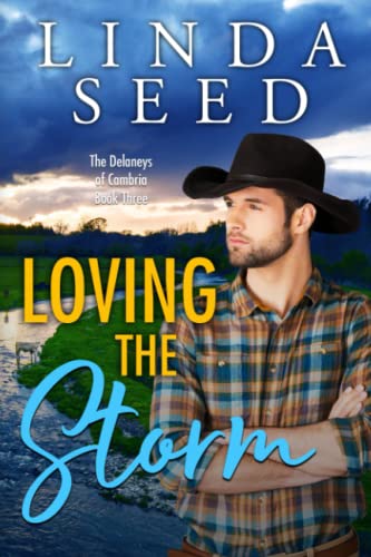 Loving the Storm cover