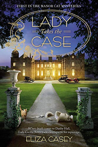 Lady Takes the Case book cover