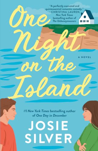 One Night on the Island book cover