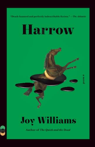 Harrow book cover