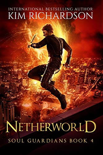 Netherworld book cover