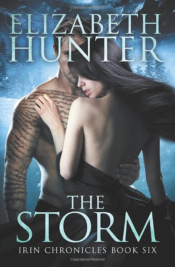 The Storm book cover