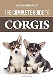 The Complete Guide To Corgis Everything To Know About Both The Pembroke Welsh And Cardigan Welsh Corgi Dog Breeds