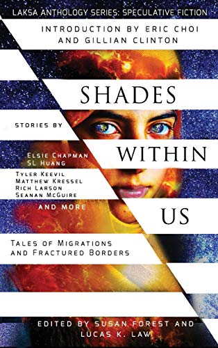 Shades Within Us book cover