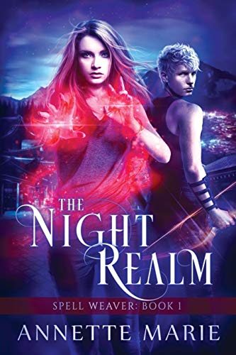 The Night Realm book cover