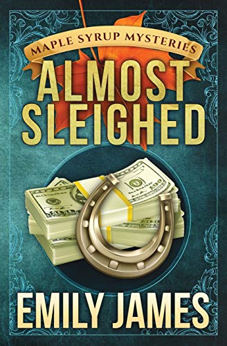 Almost Sleighed book cover