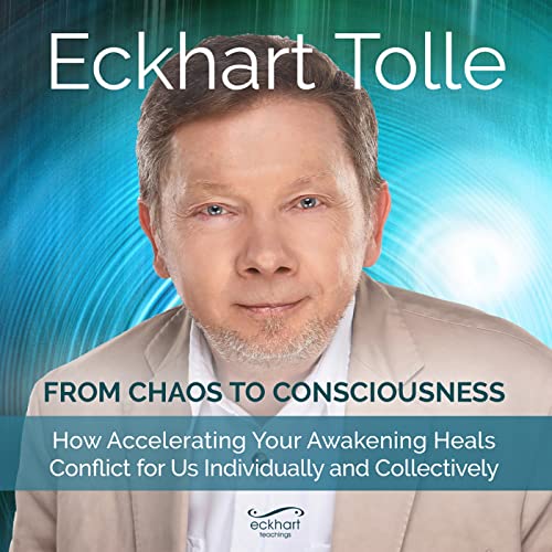 From Chaos to Consciousness book cover