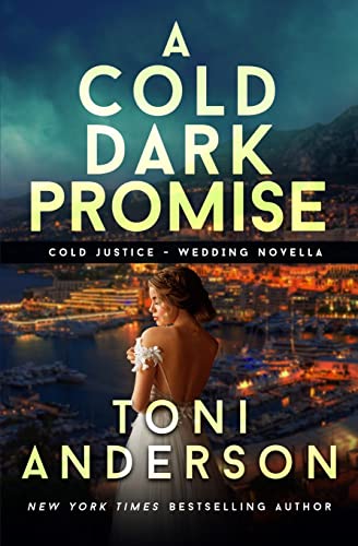 A Cold Dark Promise book cover