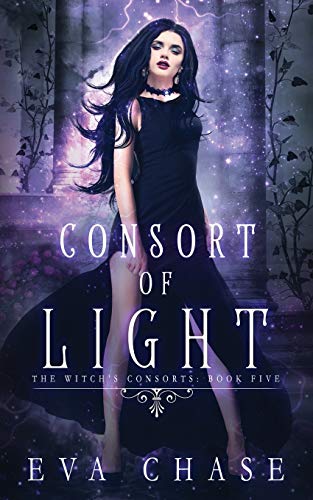 Consort of Light book cover