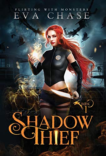 Shadow Thief book cover