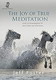 The Joy Of True Meditation Words Of Encouragement For Tired Minds And Wild Hearts