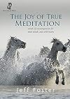 The Joy of True Meditation: Words of Encouragement for Tired Minds and Wild Hearts