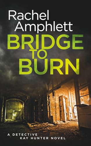 Bridge to Burn book cover