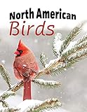 North American Birds Extralarge Print With Names For Adults With Dementia And Other Life Challenges