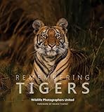 Remembering Tigers (Remembering Wildlife)