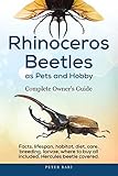 Rhinoceros Beetles As Pets And Hobby Complete Owners Guide Facts Lifespan Habitat Diet Care Breeding Larvae Where To Buy Hercules Beetle All Covered