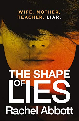 The Shape of Lies book cover