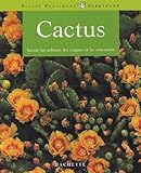Cactus : Des Vari%C3%A9t%C3%A9s Pour L'appartement, Le Balcon Et La Terrasse