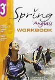 Anglais 3me Spring Workbook