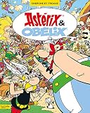 Asterix   Cherche Et Trouve Ast%C3%A9rix Et Ob%C3%A9lix