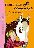 Ebne Fils De Letalon Noir Tome 1 La Promesse