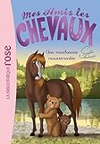 Mes Amis Les Chevaux Tome 5 Une Randonne Mouvemente