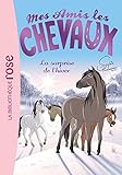 Mes Amis Les Chevaux Tome 7 La Surprise De Lhiver