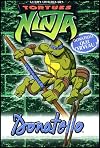 Donatello quel cerveau !