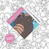 B%C3%A9b%C3%A9s Animaux