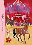 Mes Amis Les Chevaux Tome 9 Sous Le Feu Des Projecteurs