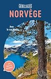 Guide Bleu Norvge