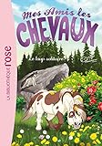 Mes Amis Les Chevaux Tome 8 Le Loup Solitaire