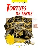 Tortues De Terre : Bien Les Comprendre Et Bien Les Soigner, Les Conseils D'un Expert Pour Votre Animal Favori