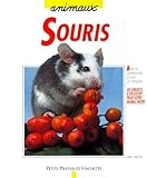 Souris Bien Les Comprendre Et Bien Les Soigner Les Conseils Dun Expert Pour Votre Animal Favori