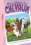 Mes Amis Les Chevaux 18 La Mascotte Du Centre Questre
