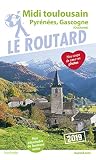 Guide Du Routard Midi Toulousain 2019: (pyr%C3%A9n%C3%A9es, Gasgogne)