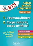 Objectif Bts Culture G%C3%A9n%C3%A9rale Et Expression, Examen 2018