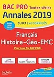 Annales Bac 2019 Fran%C3%A7ais Hist Geo Bac Pro