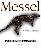 Messel La Mmoire De La Nature