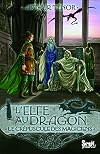 L'elfe au dragon, Tome 6 : Le crépuscule des Magiciens